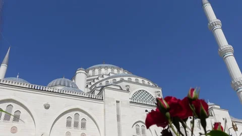 Mosque (Istanbul - Turkey) Stock Footage 197377844