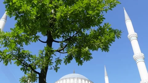 Mosque (Istanbul - Turkey) Stock Footage 197378111
