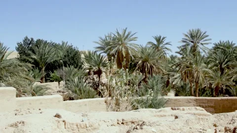 Mosque Lalla baytou Allah Stock Footage 137020355