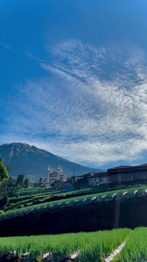Mosque located in a remote village Stock Footage 202628548