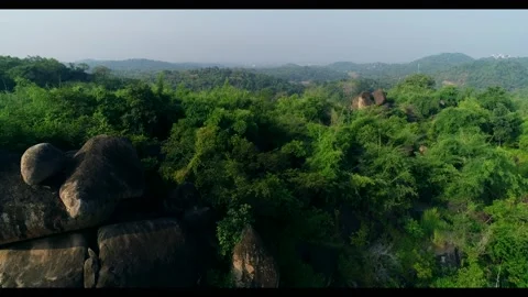 Mosque in middle of the forest Stock Footage 204788185