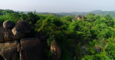 Mosque in middle of the forest Stock Footage 208692981
