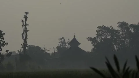 Mosque in the middle of the mist next to rice fields Stock Footage 262293262