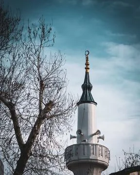 Mosque Minaret and Deciduous Tree Branch Foto stock