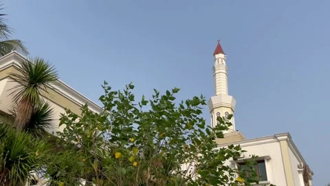 Mosque minaret behind trees with clean blue sky with large copy space. Stock Footage 258755794