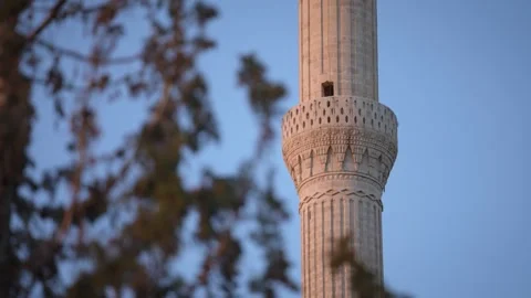 Mosque Minaret through Tree Branches Video stock 265601602