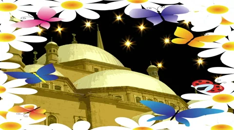 Mosque Night, Flowers Lights Stock Footage 45971357