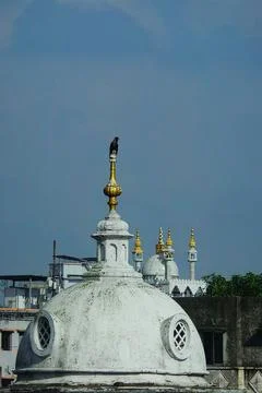 The Mosque Stock Photos