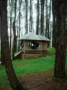 A mosque 写真素材