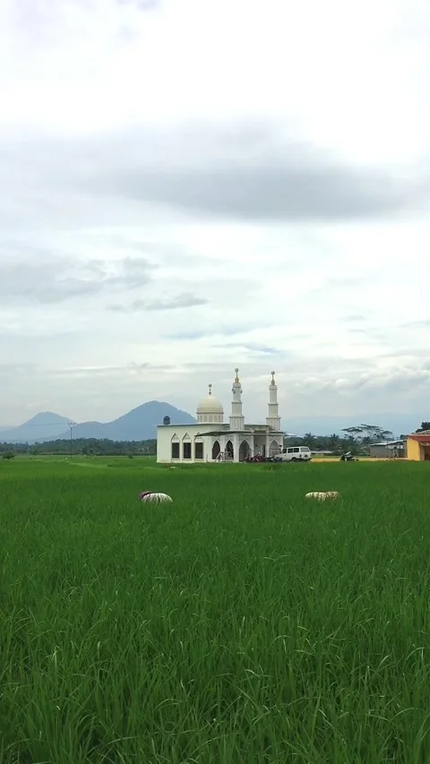 Mosque in a Rice Field with Two Female Farmers, Garut, West Java, Indonesia. Видео 343605992