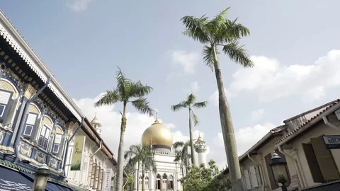 Mosque in Singapore Stock Footage 113436836