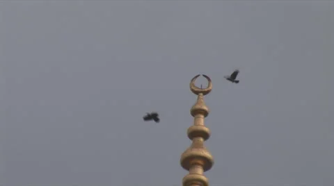  mosque spire birds Video stock 3679302