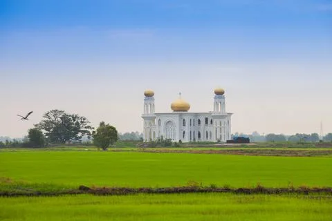 Mosque state in front of green grass field Stock Photos