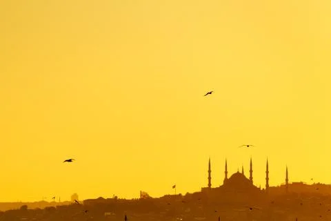 Mosque at sunset Stock Photos