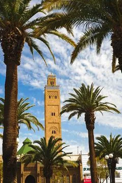 Mosque tower appearing between palms. Stock Photos