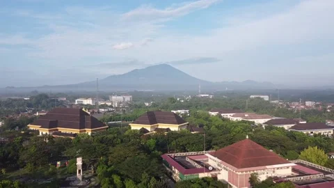 Mosque view aerial Video stock 198726951