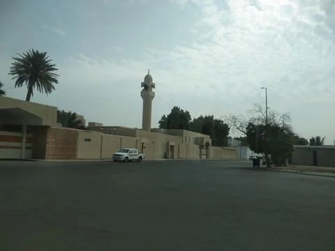 The mosque view in the field Foto stock