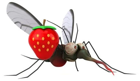 Mosquito - 3D Illustration イラスト素材