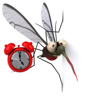 Mosquito - 3D Illustration Stock Illustration