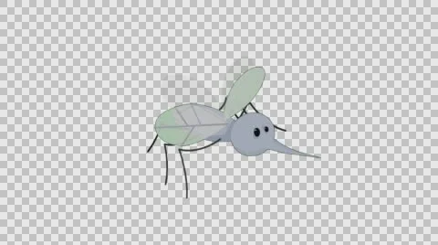 Mosquito Animated Cartoon Stock Footage 56725083
