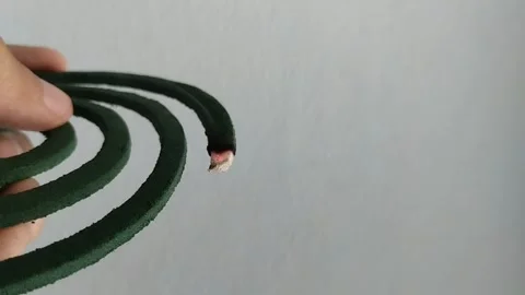 Mosquito coils are in the shape of a circle that is burned Stock Footage 290152405