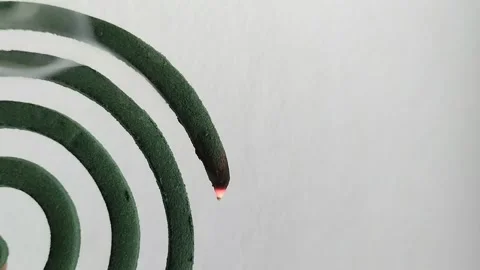 Mosquito coils are in the shape of a circle that is burned 動画素材 290152432