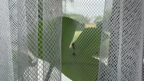 Mosquito on a Curtain Stock Footage 278600780