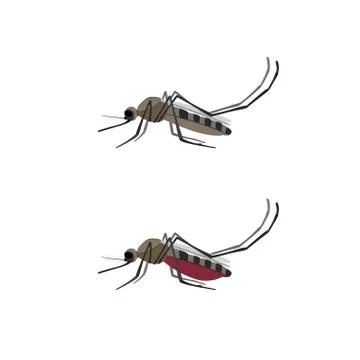 Mosquito flat icon. Stock Illustration