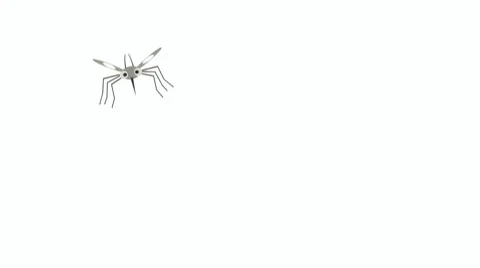 Mosquito Stock Footage 7909944