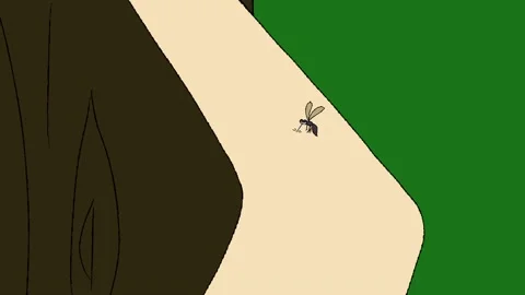 Mosquito Stock Footage 196003250