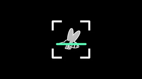 Mosquito Stock Footage 334178709