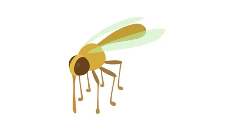 Mosquito icon animation Stock Footage 168928235