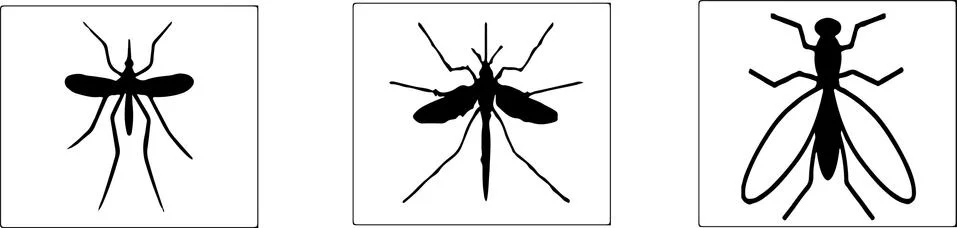 Mosquito icon isolated on background Stock Illustration