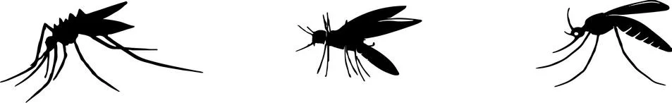 Mosquito icon isolated on background Stock Illustration