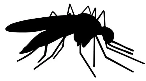 Mosquito Stock Illustration