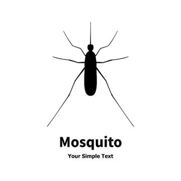 Mosquito Stock Illustration