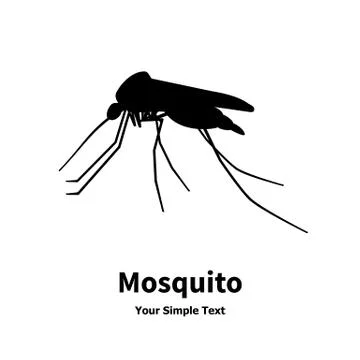 Mosquito Stock Illustration