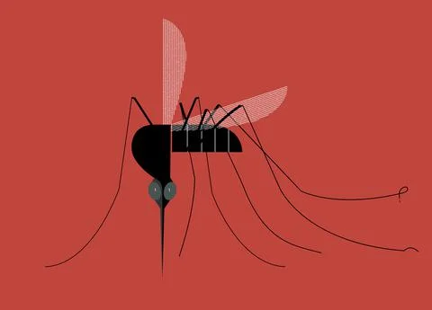 Mosquito Stock Illustration