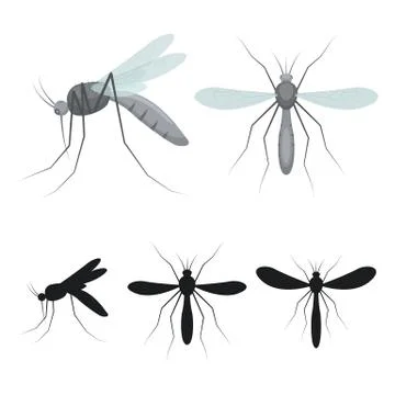 Mosquito insect vector design illustration isolated on white background Stock Illustration