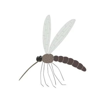 Mosquito isolated on white background Stock Illustration