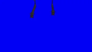 Mosquito larvae. Green Screen Effect 스톡 동영상 85830520