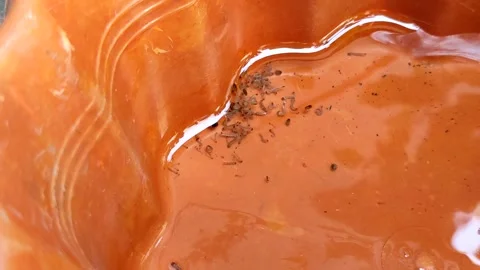 Mosquito larvae nest Video stock 322149205