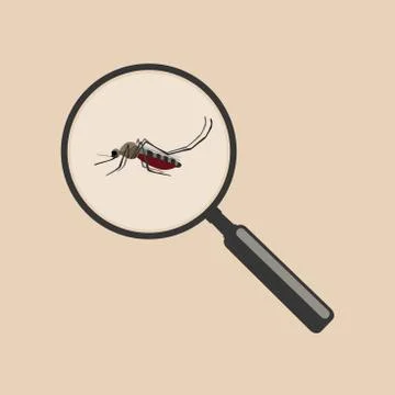 Mosquito with magnifier. Stock Illustration