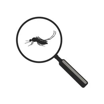 Mosquito with magnifier. Stock Illustration