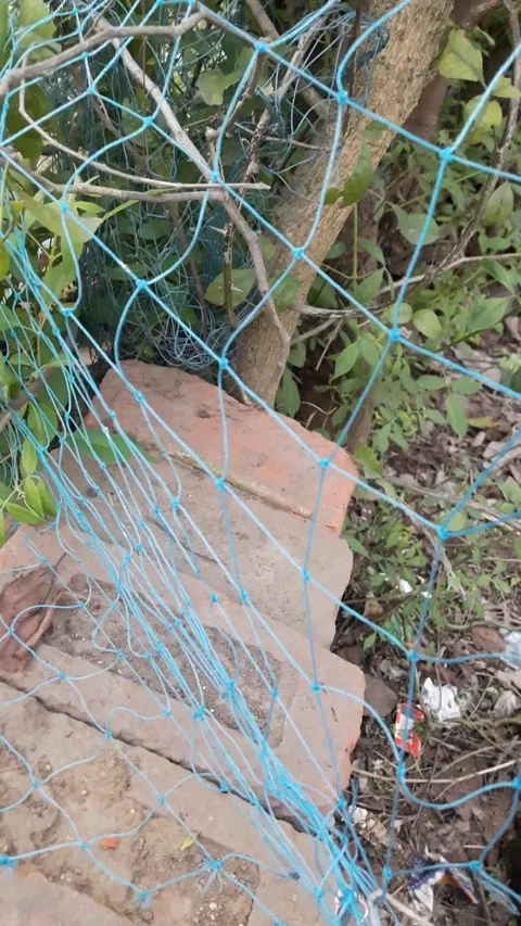 Mosquito net with bricks in garden area Stock Footage 126414729