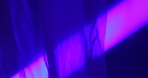 Mosquito Net closeup Stock Footage 260448302