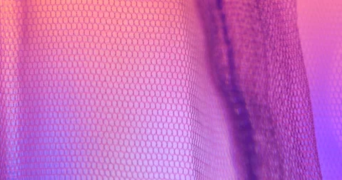 Mosquito Net closeup Stock Footage 260450064