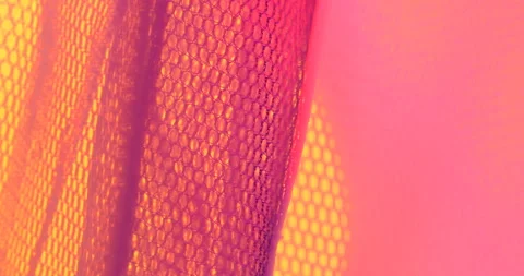 Mosquito Net closeup Stock Footage 260450257