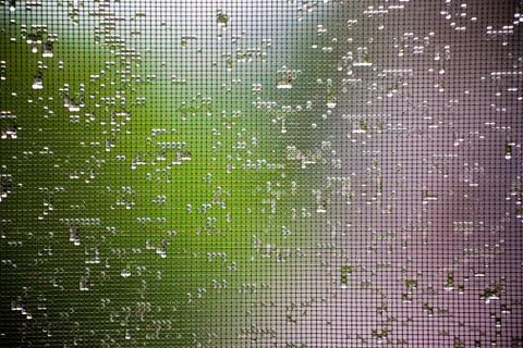 Mosquito net Stock Photos