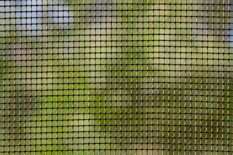 Mosquito net Foto stock